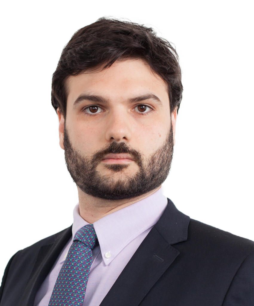 Joao Miguel Fassina Damous