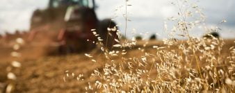 Uma nova lei para o trabalho rural
