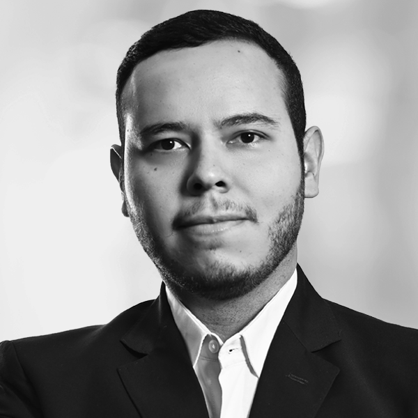 Luiz Felipe de Camargo Silva