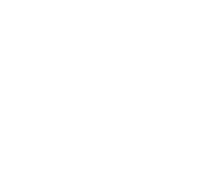 Leaders League