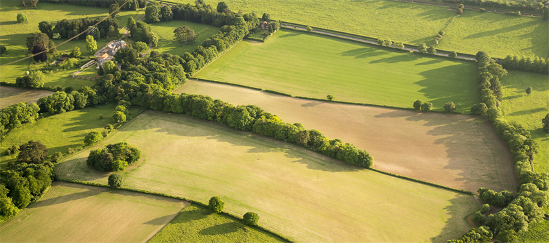 Área verde